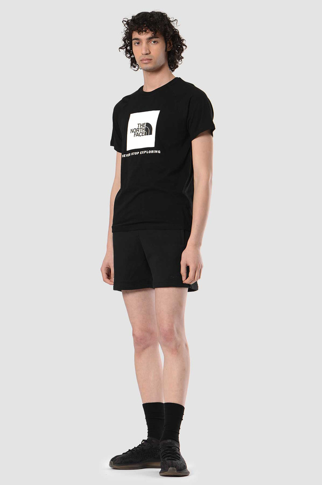 THE NORTH FACE White Box Raglan Black T-shirt - 3