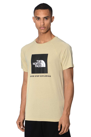 THE NORTH FACE Black Box Raglan T-shirt Gravel